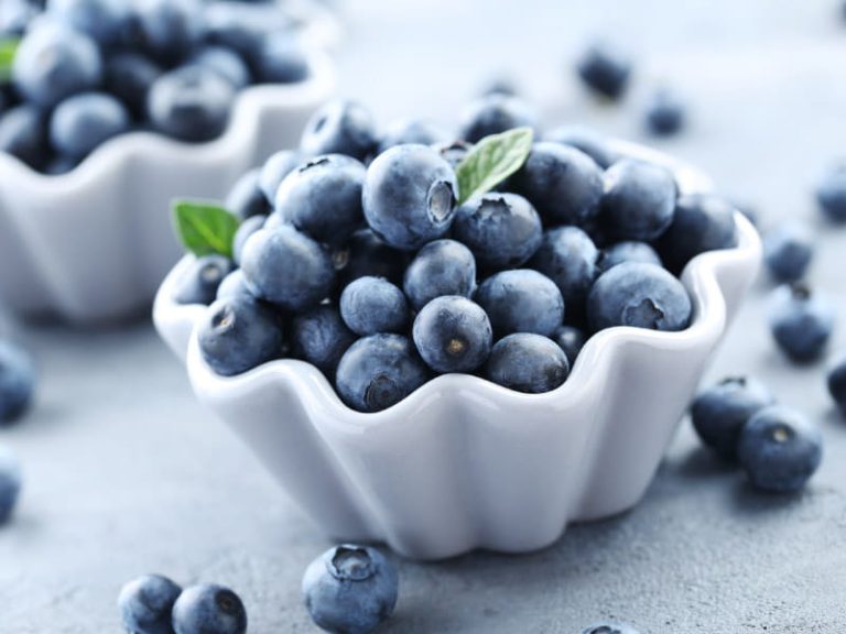 Are wild blueberries healthier than cultivated?