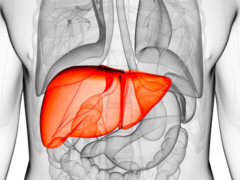 Can you have fatty liver disease not due to alcohol?