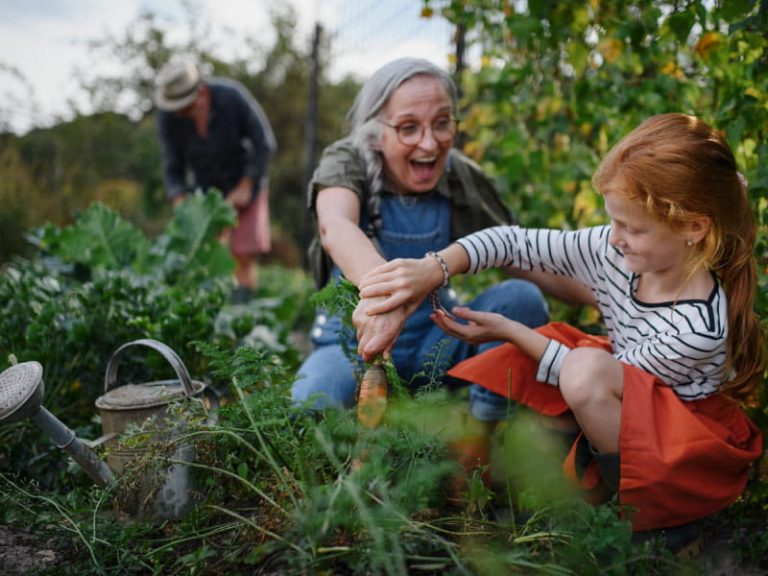 How does a healthy life lead to a happy life?