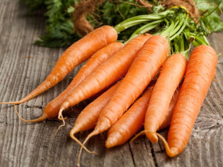 What are the benefits of carrot?